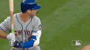 home run baseball GIF by New York Mets