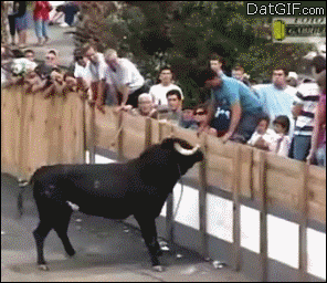 karma GIF