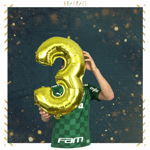 Soccer Futebol GIF by SE Palmeiras