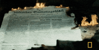 genius tv GIF by National Geographic Channel