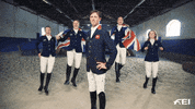British Jump GIF by FEI Global