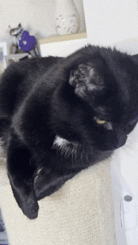 Not quite dinner time