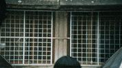 With You Sunglasses GIF by Oliver Tree
