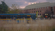 Go Blue Michigan Football GIF by University of Michigan