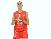 Basketball Pase GIF by Ensino Lugo CB