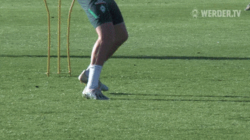 Mallorca Trainingslager GIF by SV Werder Bremen