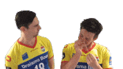 Volleyball Sticker by Draisma Dynamo