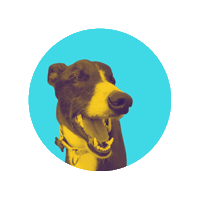 Grsticker Sticker by Greyhound Rescue