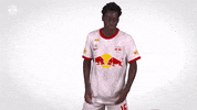 Freezing Red Bull GIF by FC Red Bull Salzburg