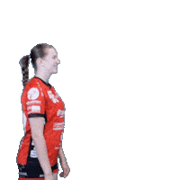 Handball Sticker by Hollenstedt-Handball