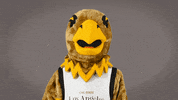 Eddietheeagle GIF by Cal State LA
