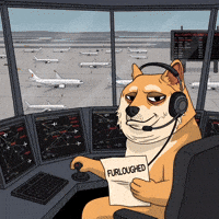 Shiba Inu Chaos GIF by Doge Pound