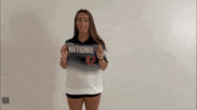 thealliancefastpitch softball fastpitch the alliance fastpitch alliance fastpitch GIF
