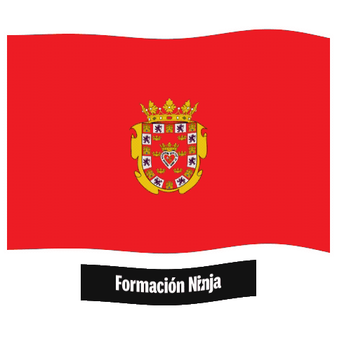 Region De Murcia Flag Sticker by Formación Ninja