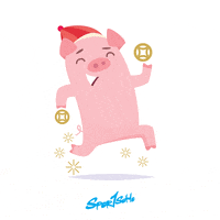 happy chinese new year GIF by Sportsoho
