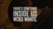 maze runner GIF by Maze Runner: The Scorch Trials