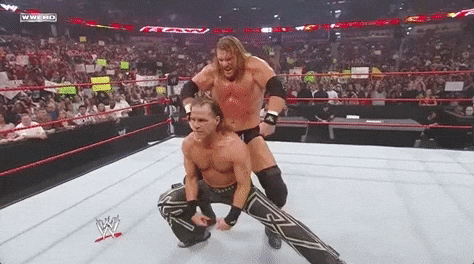 Triple H Wrestling GIF by WWE