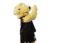 Bayer 04 Clapping Sticker by Bayer 04 Leverkusen