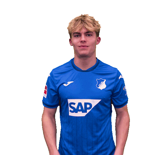 Sport Bundesliga Sticker by TSG Hoffenheim