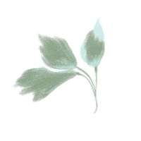 Happy Flowers Sticker by Lug