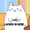 Locked In Cat GIF by MESA My Emotional Support Animal