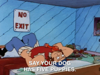 hey arnold nicksplat GIF