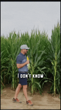 mutinyag agriculture corn agronomy mutiny GIF