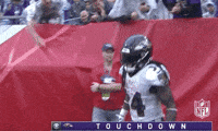 2018 Nfl Football GIF by NFL