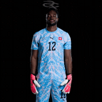 Fifa World Cup Switzerland GIF by Respective
