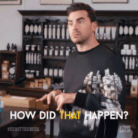 Pop Tv GIF by Schitt's Creek