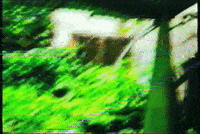 p_spurlock preston spurlock the johns GIF