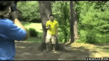 william fail GIF