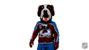 Run Away Colorado Avalanche GIF by NHL
