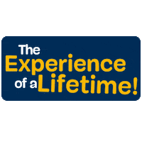 Isla Mujeres Beach Sticker by Dolphin Discovery