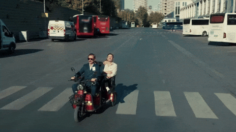 Araba Yahya GIF by Show TV