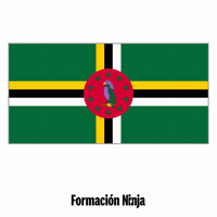 Flag Pixel Art GIF by Formación Ninja