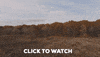 fall drone minnesota drones fpv GIF