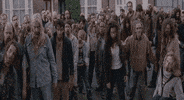 shaun of the dead everything about this film is perfect GIF by Maudit