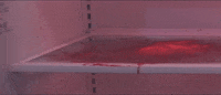 GIF by Gunpowder & Sky