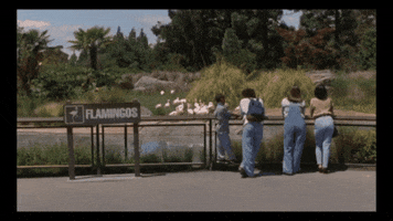 Clint Eastwood Running GIF by Oakland Zoo