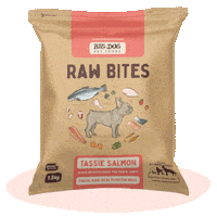 Cat Reel Sticker by Big Dog Pet Foods