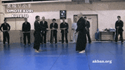 ninjutsu GIF by AKBAN Academy