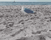 ChaosundKosmosde move ja reaktion meer GIF