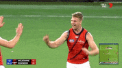 jake stringer celebrations GIF by AFL