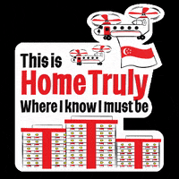 govsg ndp ndp2020 togetherstronger govsg GIF