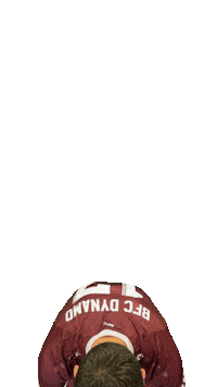 Phone Call Sticker by BFC Dynamo