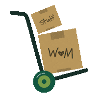 Flag Move-In Sticker by William & Mary