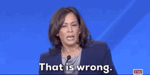 That Is Wrong Democratic Debate GIF by GIPHY News