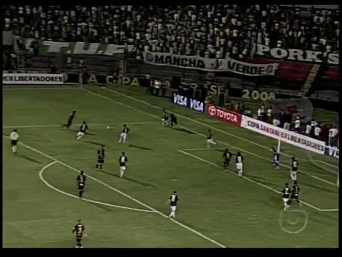 sao marcos sport GIF by SE Palmeiras