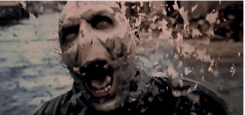 harry potter GIF